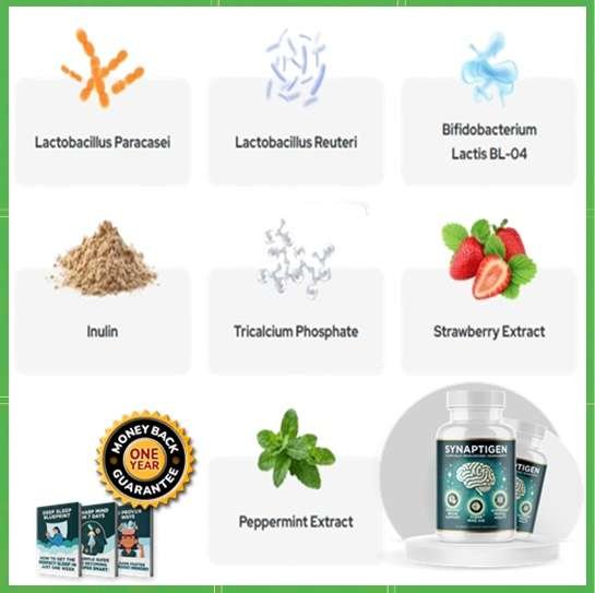 Synaptigen Ingredients